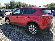 ЗАДНЯЯ ЧАСТЬ