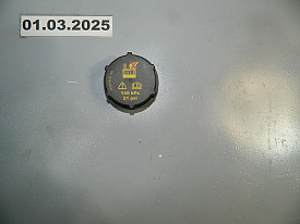 КРЫШКА РАСШИРИТЕЛЬНОГО БАЧКА (DG93-8101-AA) FORD F150 P552 2014-2020