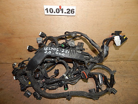 ПРОВОДКА ДВИГАТЕЛЯ И АКПП (КОСА) 2.0 (4WD) KIA SELTOS SP2 2019-2026