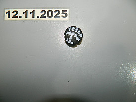 КРЕПЛЕНИЕ ДЛЯ СЕТКИ В БАГАЖНИКЕ (96913 8798) (ЧЕРНАЯ) TESLA MODEL S 5YJS 2012-Н.В